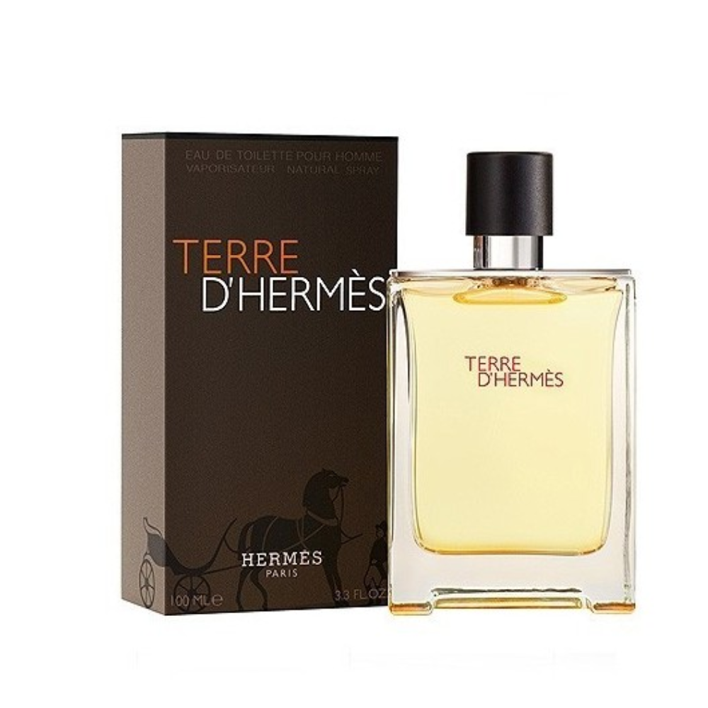 HERMES TERRE D'HERMES EDT 100ML 20872