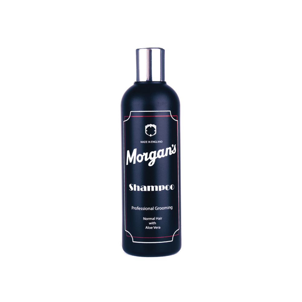 MORGAN'S SHAMPOO MENS ALOE VERA 250ML 39913