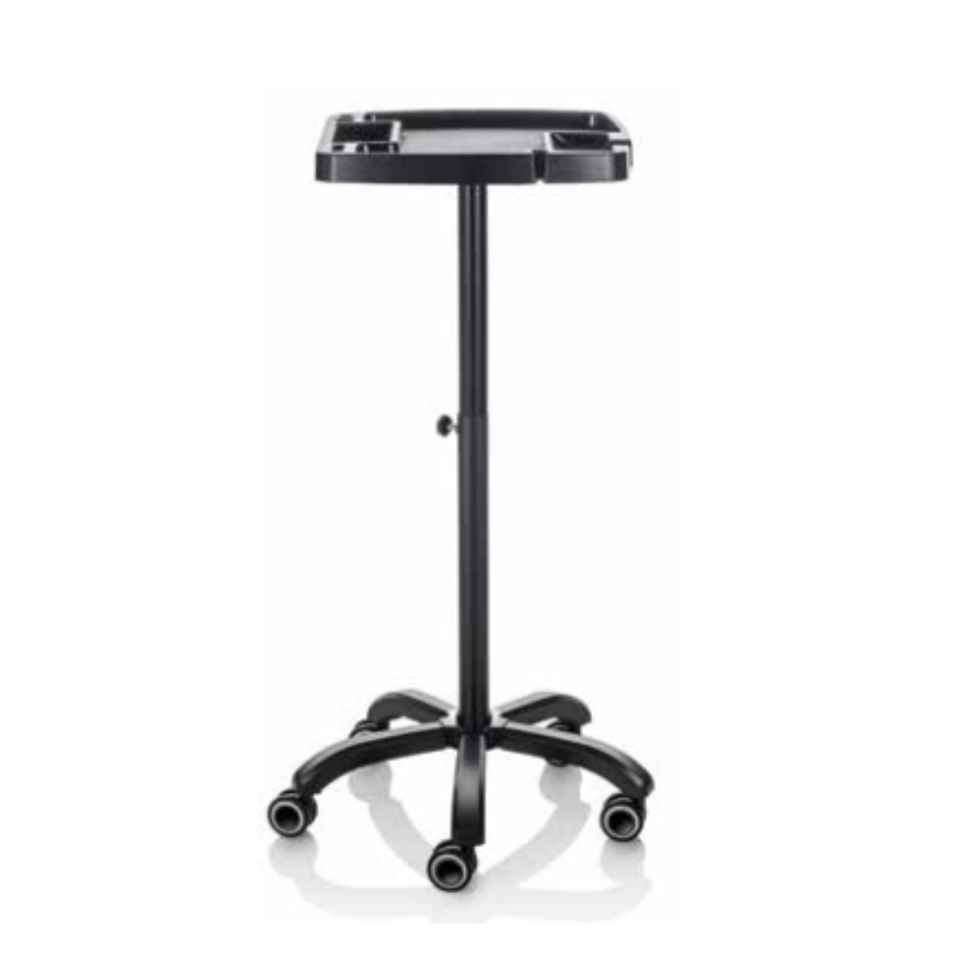 XANITALIA CARRELLO PER COLORAZIONE 370.529