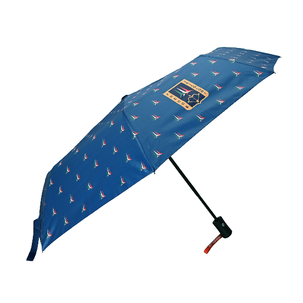 AERONAUTICA MILITARE OMBRELLO AUTOMATICO FRECCE TRICOLORE AZZURRO AMFT0240